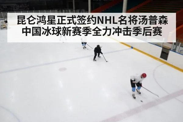 ice hockey game