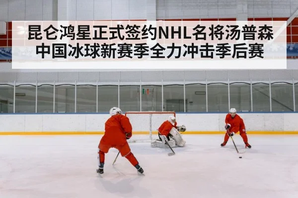 ice hockey rink
